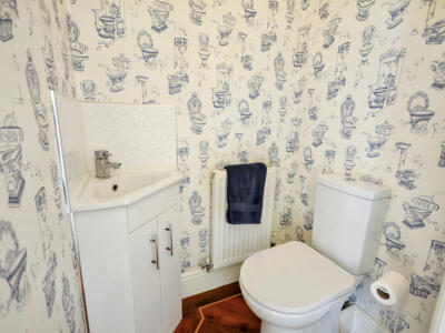 Picture 17